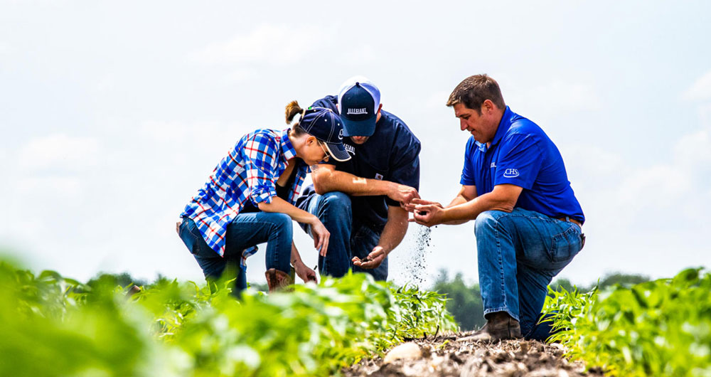 Three people looking at soil and crops in a field.