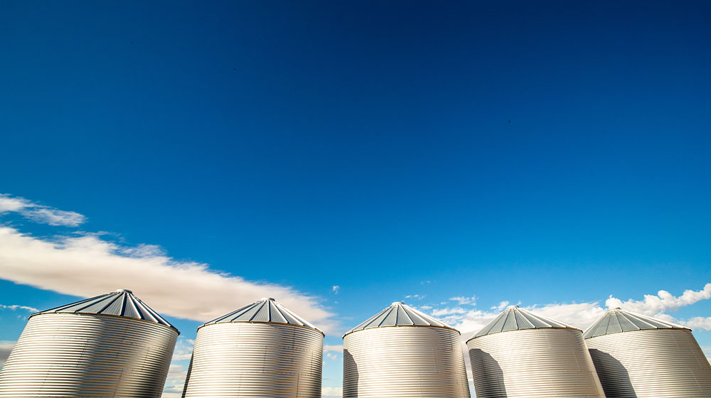 Five grain bins.