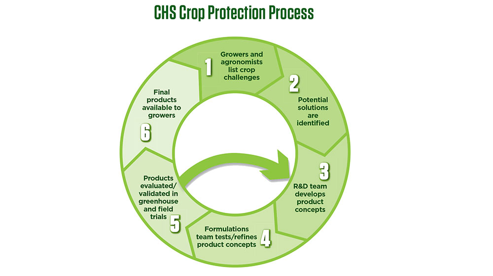 Chart showing the crop protection process