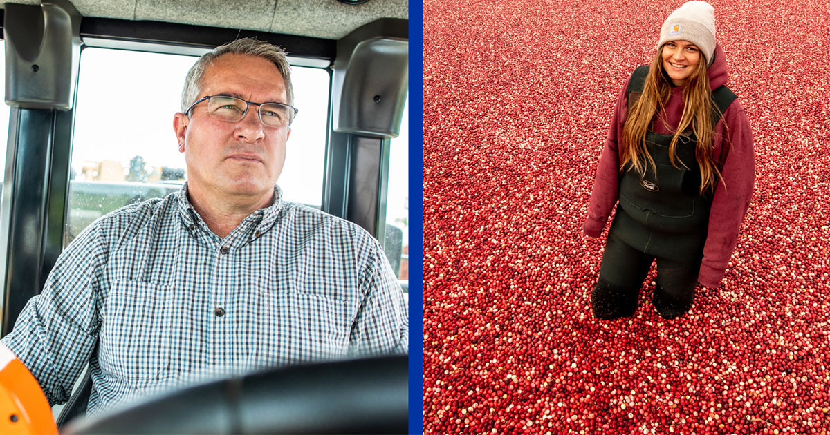 The impact of the cooperative system