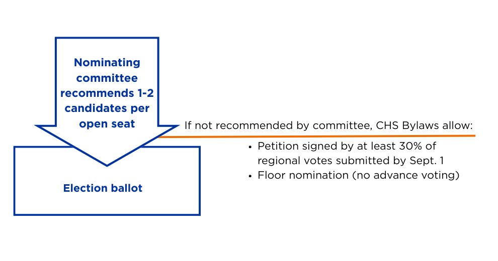 Graphic explaining the director candidacy path