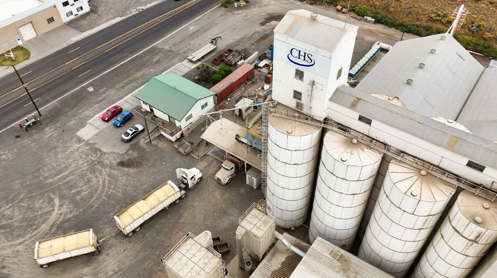 Dry bean processing plant