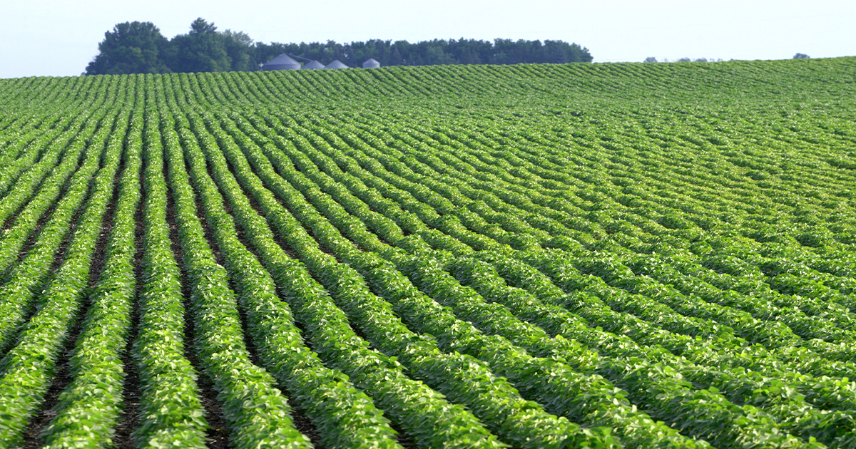 Cooperative Ventures invests in Precision AI, bringing artificial intelligence to the farmgate