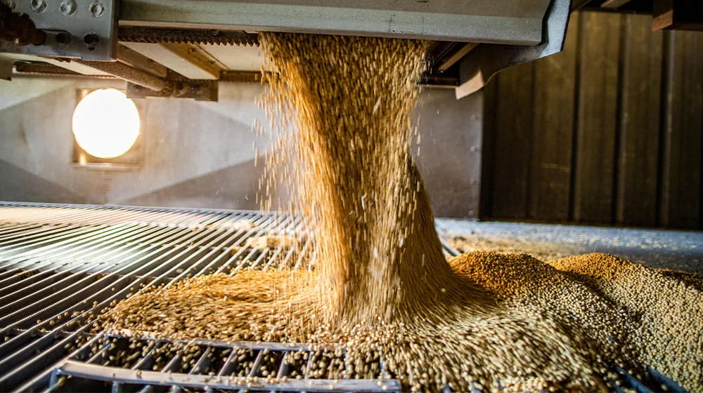 Soybeans