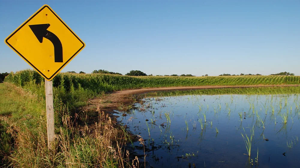 Flooded field beside a yellow road sign
