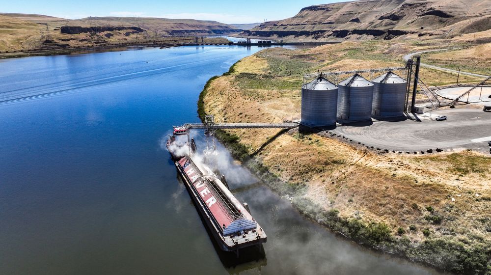 From record growth to flattening demand: China’s grain story