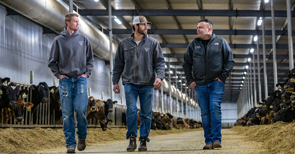 Dialing up dairy farming