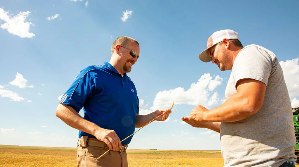 Two men in a field