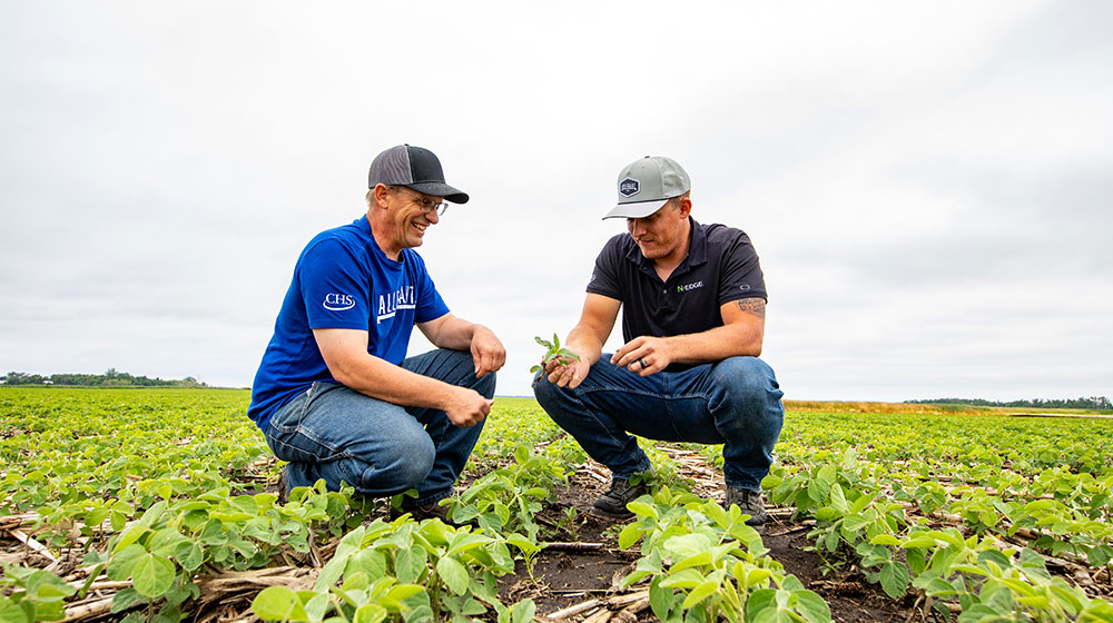 Two men in a field.