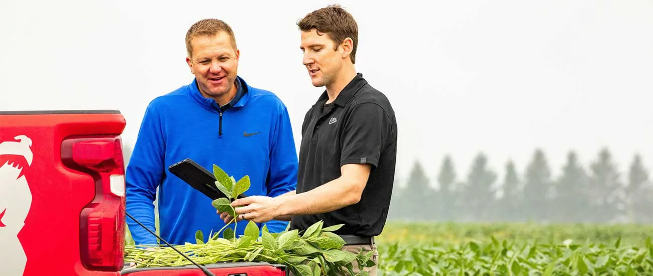 Two men looking at plants in field