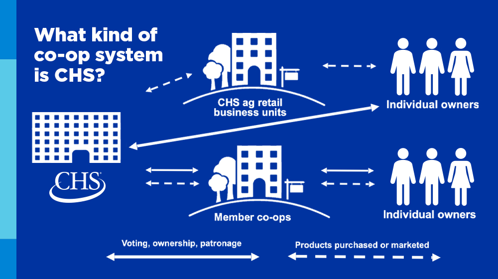 Graphic explaining what kind of co-op system CHS is.