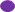 Purple oval symbol