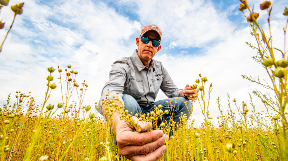 Ron Rabou in a crop field