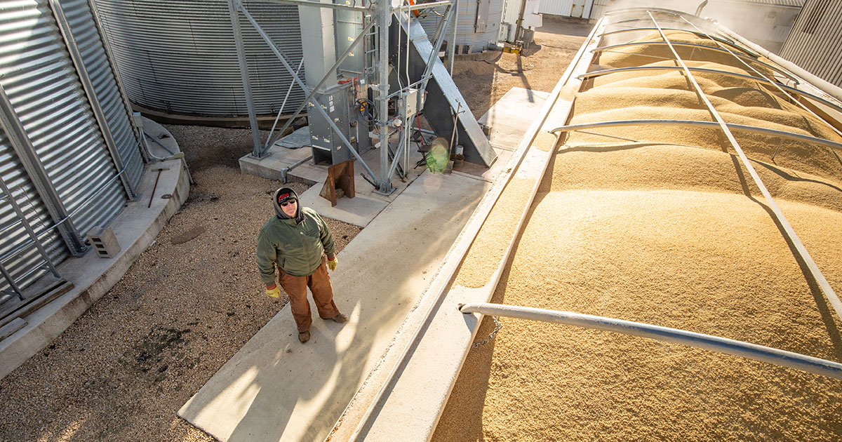 Soybean meal demand grows with crush capacity