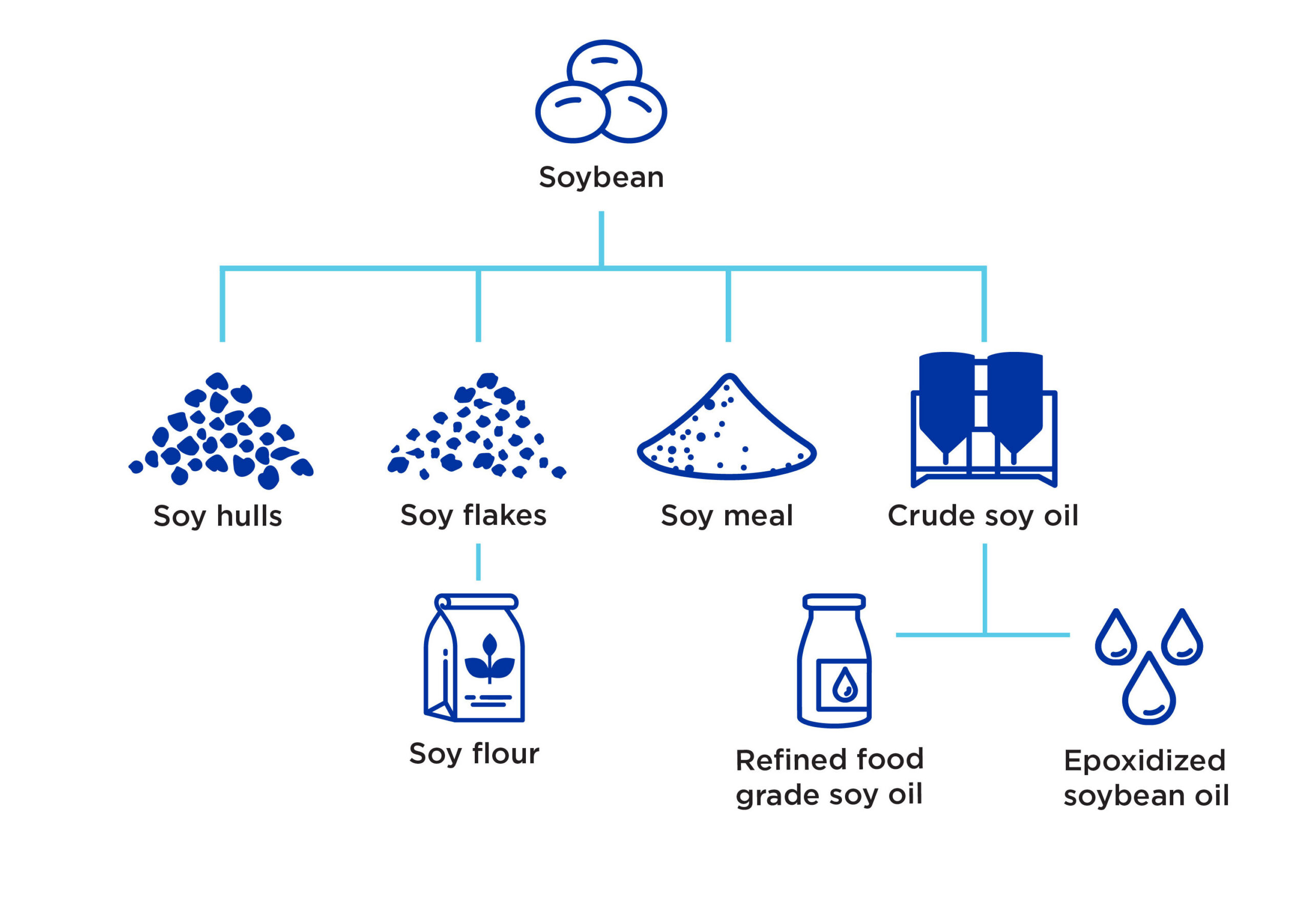 Graphic if the soybean value chain.