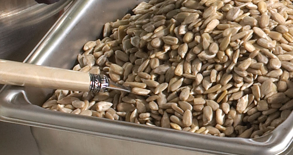 Sunflower kernels