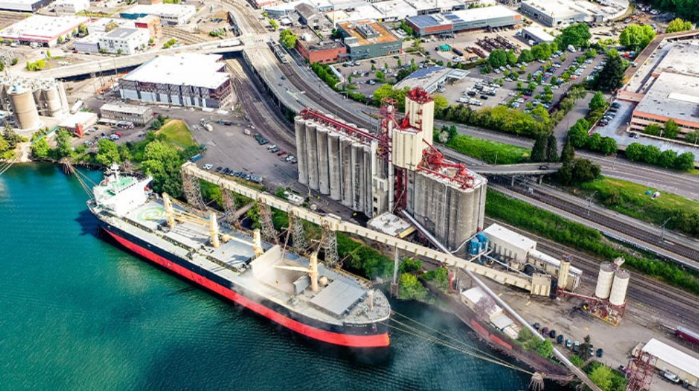 Two ships being loaded with grain