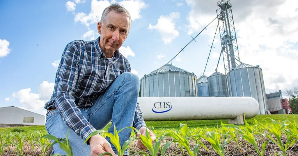 Man kneeling in field with young crops