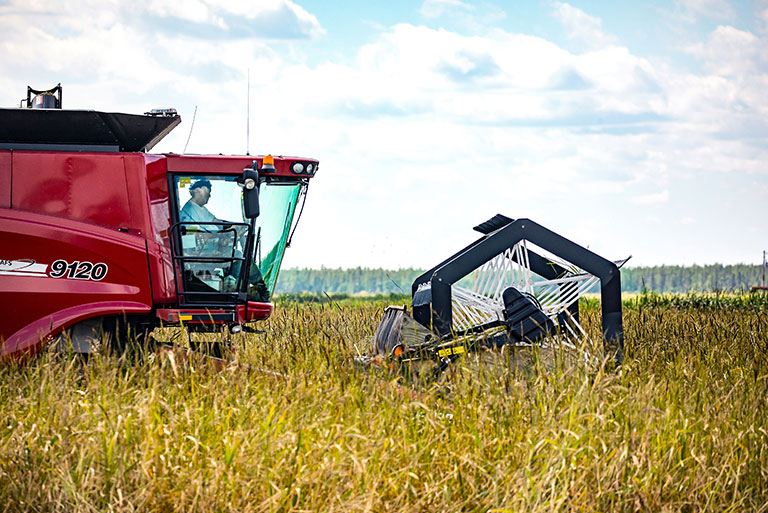 Current farm patriarch Tom Godward runs his favorite combine through a rice field. Over five decades, he has grown the northern Minnesota operation into a global business.