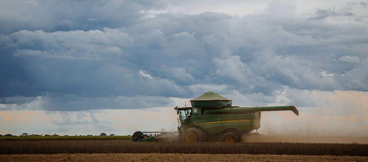 combine in field