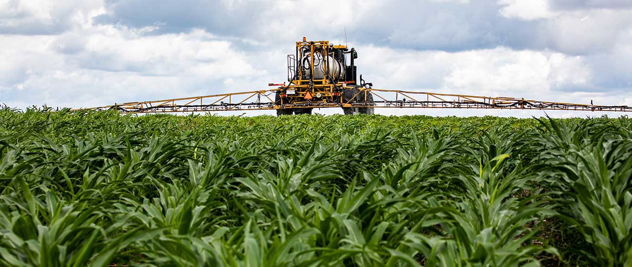 Applicator in a corn field