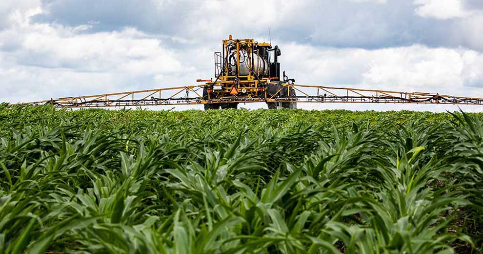 Applicator in a corn field
