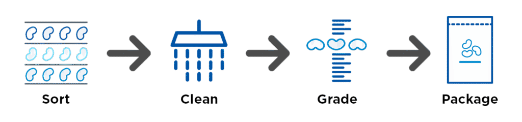 Bean processing flow diagram