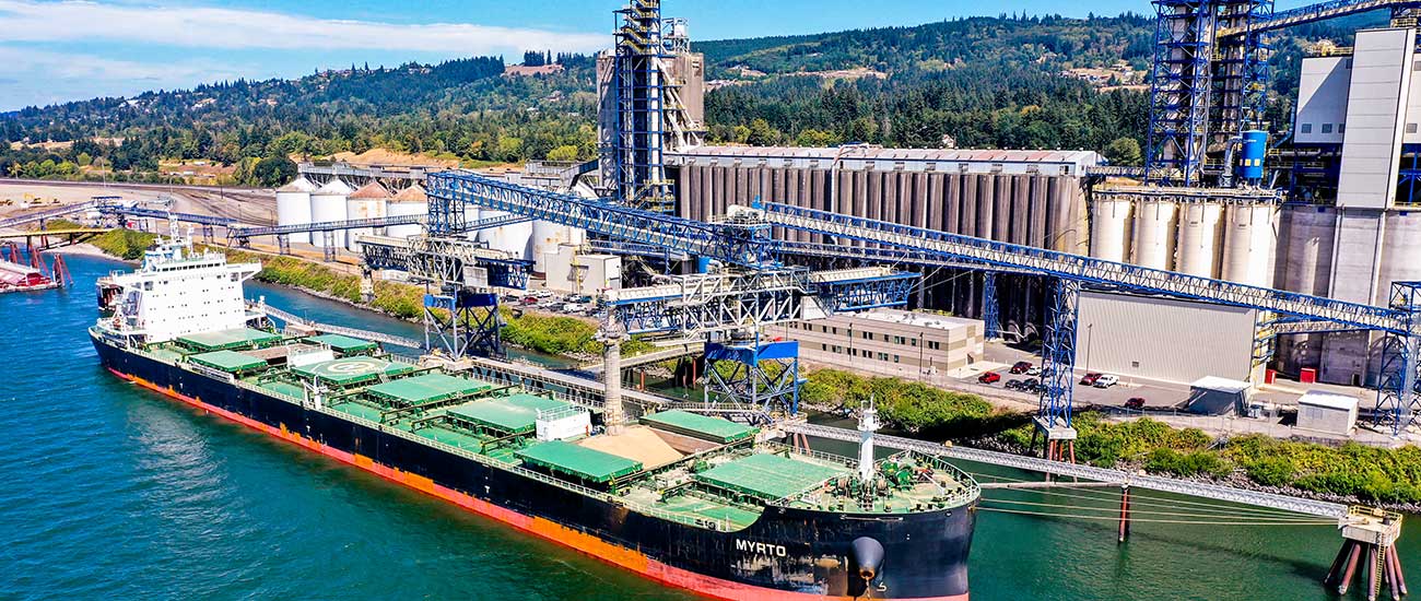 Grain ship unloading at a terminal