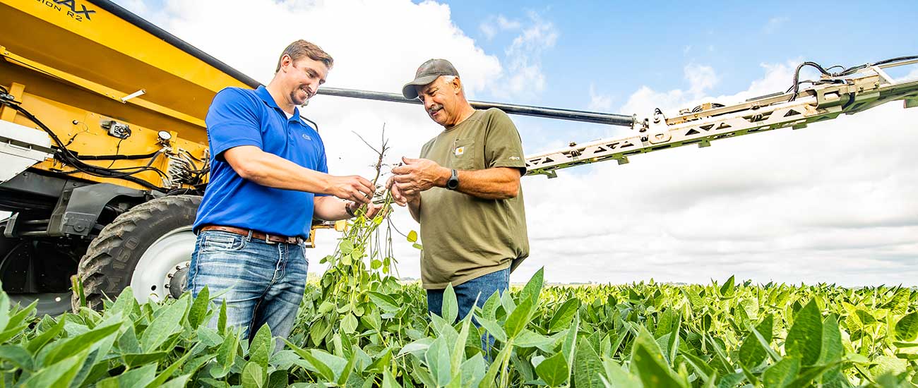 Two men in a corn field