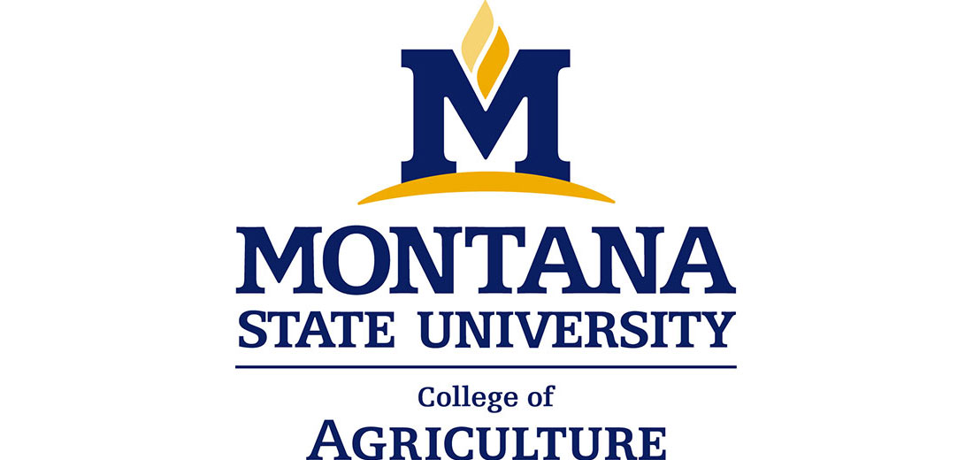 Montana State University logo