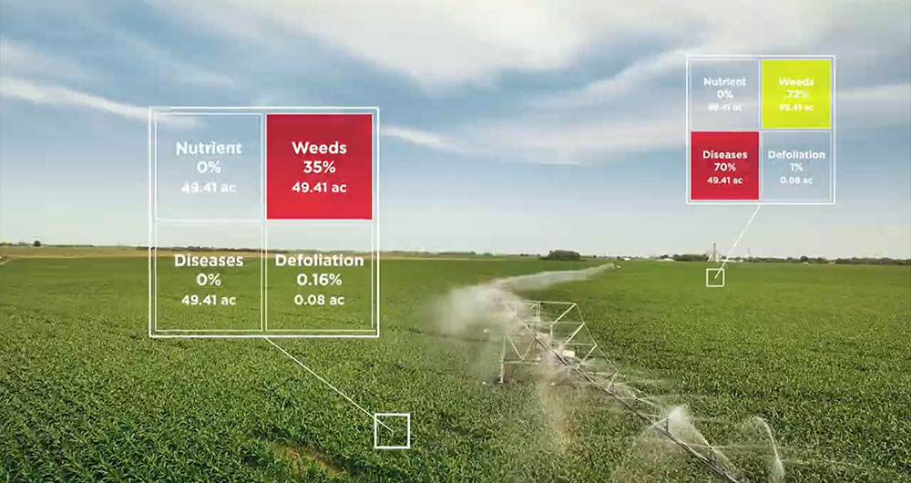 Field recommendations