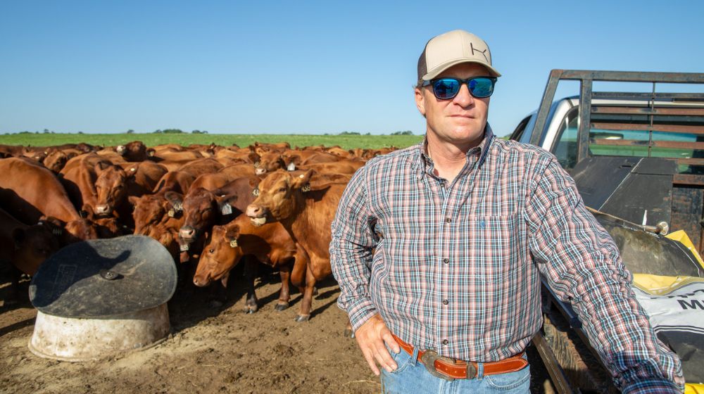 Man in hat with beef cattle and truck